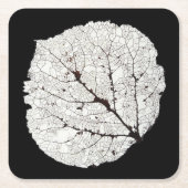《植物》アスペンリーフスケルトン1 スクエアペーパーコースター (正面)