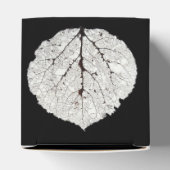 《植物》アスペンリーフスケルトン1 フェイバーボックス (上部)