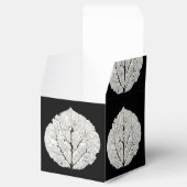 《植物》アスペンリーフスケルトン1 フェイバーボックス (オープン)