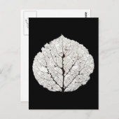 《植物》アスペンリーフスケルトン1 ポストカード (正面/裏面)