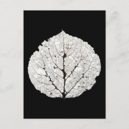 《植物》アスペンリーフスケルトン1 ポストカード