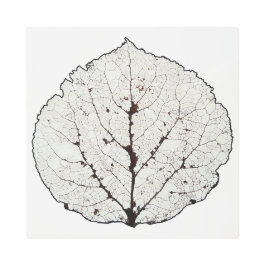 《植物》アスペンリーフスケルトン1 メタルプリント
