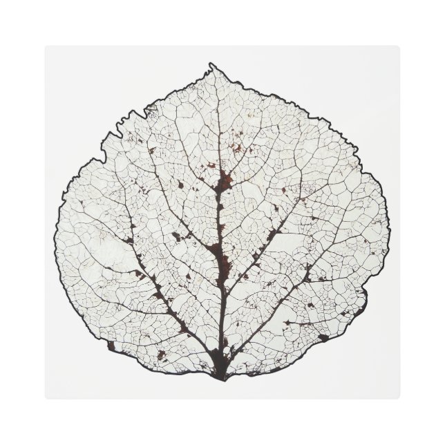 《植物》アスペンリーフスケルトン1 メタルプリント (正面)