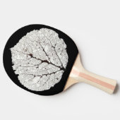 《植物》アスペンリーフスケルトン1 卓球ラケット (横)