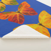 《植物》アスペンリーフチョウ シェルパブランケット (3/4)