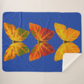 《植物》アスペンリーフチョウ シェルパブランケット (正面(横))