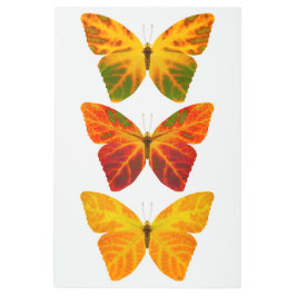 《植物》アスペンリーフチョウ メタルプリント