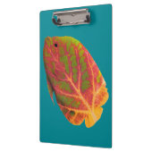 《植物》アスペンリーフトロピカルフィッシュ1 クリップボード (左)