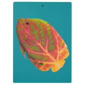 《植物》アスペンリーフトロピカルフィッシュ1 クリップボード (裏面)