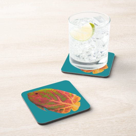 《植物》アスペンリーフトロピカルフィッシュ1 コースター (右側)