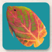 《植物》アスペンリーフトロピカルフィッシュ1 コースター (正面)