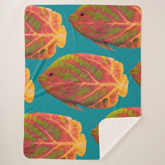 《植物》アスペンリーフトロピカルフィッシュ1 シェルパブランケット (正面)