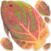 《植物》アスペンリーフトロピカルフィッシュ1 シール (正面)