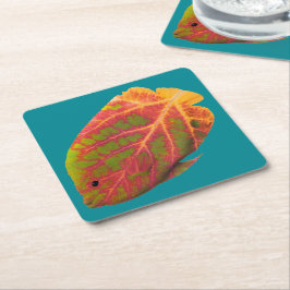 《植物》アスペンリーフトロピカルフィッシュ1 スクエアペーパーコースター