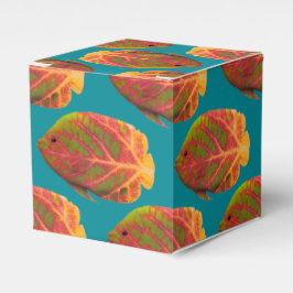 《植物》アスペンリーフトロピカルフィッシュ1 フェイバーボックス