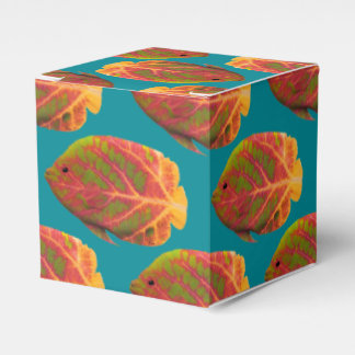 《植物》アスペンリーフトロピカルフィッシュ1 フェイバーボックス