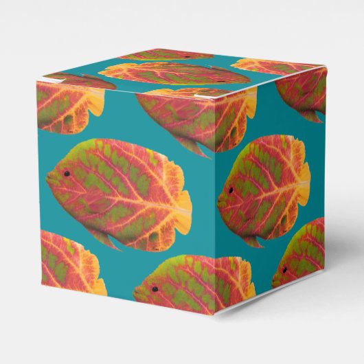 《植物》アスペンリーフトロピカルフィッシュ1 フェイバーボックス (正面サイド)