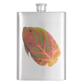 《植物》アスペンリーフトロピカルフィッシュ1 フラスク