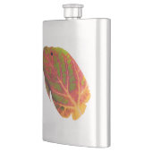 《植物》アスペンリーフトロピカルフィッシュ1 フラスク (左)