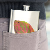 《植物》アスペンリーフトロピカルフィッシュ1 フラスク (インサイチュ)