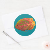 《植物》アスペンリーフトロピカルフィッシュ1 ラウンドシール (封筒)