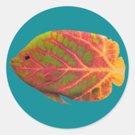 《植物》アスペンリーフトロピカルフィッシュ1 ラウンドシール