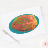 《植物》アスペンリーフトロピカルフィッシュ1 楕円形シール (封筒)