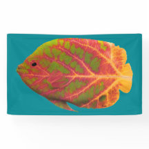 《植物》アスペンリーフトロピカルフィッシュ1