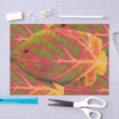 《植物》アスペンリーフトロピカルフィッシュ1 薄葉紙 (クラフト)