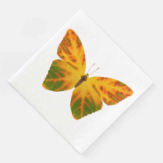 《植物》アスペンリーフバタフライ1 (コーナー)