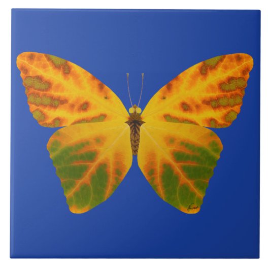 《植物》アスペンリーフバタフライ1 タイル (正面)