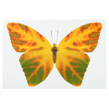 《植物》アスペンリーフバタフライ1