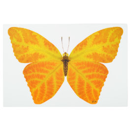 《植物》アスペンリーフバタフライ3 メタルプリント