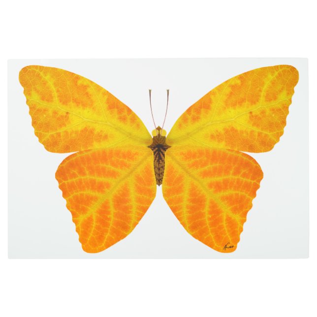《植物》アスペンリーフバタフライ3 メタルプリント (正面)
