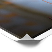 《植物》アスペンリーフポイントザウェイ ポスター (角)