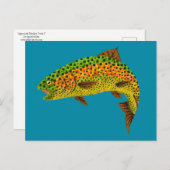 《植物》アスペンリーフレインボートラウト1 ポストカード (正面/裏面)