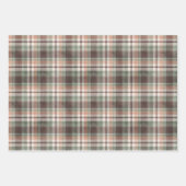 《植物》アスペン冬用プレイドラッピング紙シート ラッピングペーパーシート (正面3)