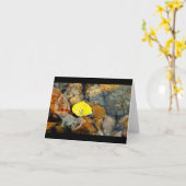 《植物》アスペン及び水低下空白のなカード カード (黄色い花)