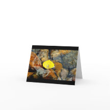 《植物》アスペン及び水低下空白のなカード