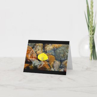 《植物》アスペン及び水低下空白のなカード カード