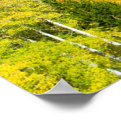 《植物》アスペン名 ポスター (角)