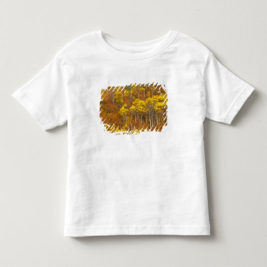 《植物》アスペン園のピーク秋色2 トドラーTシャツ (正面)