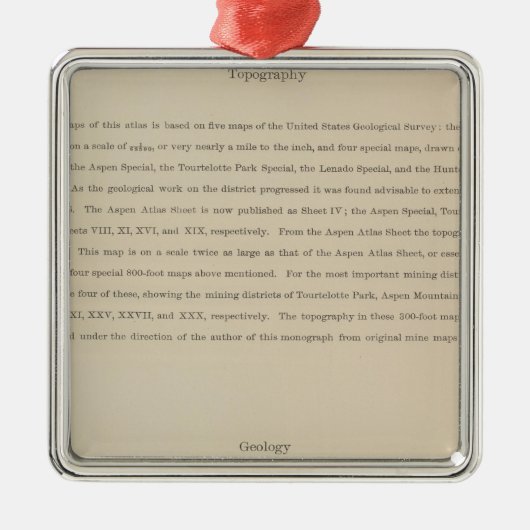 《植物》アスペン地区の地質学への伝説の地図書 メタルオーナメント (正面)