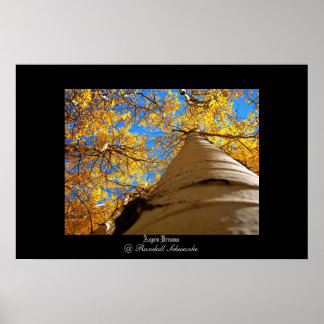 《植物》アスペン夢 ポスター