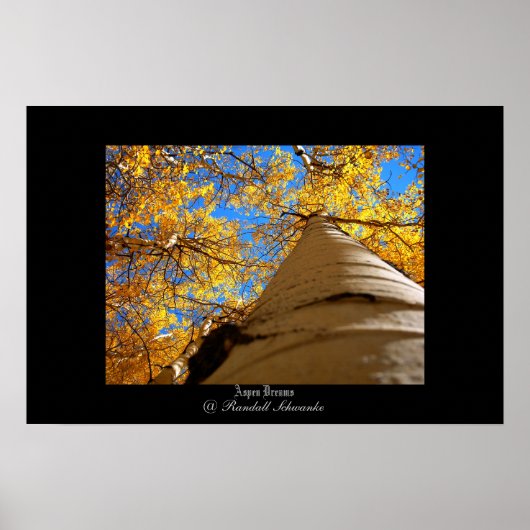 《植物》アスペン夢 ポスター (正面)