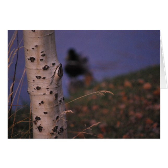 《植物》アスペン春 (正面横)