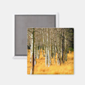 《植物》アスペン木磁石 マグネット (正面/裏面)