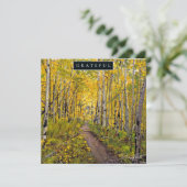 《植物》アスペン林 シーズンカード (スタンド正面)