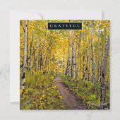 《植物》アスペン林 シーズンカード (正面)