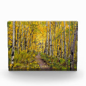 《植物》アスペン林 フォトブロック (正面)